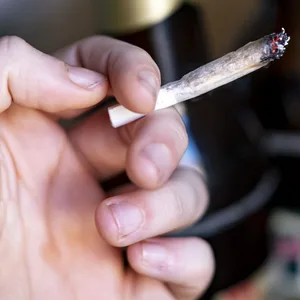 Cannabis und Alkohol
