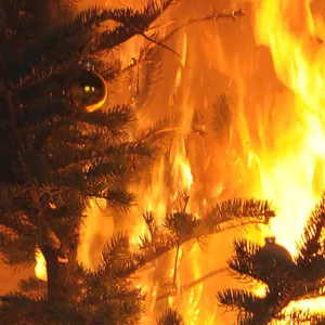 Feuerwehr
