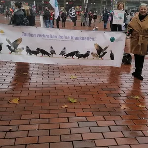 Vor dem Bahnhof Altona hielten der Hamburger Stadttauben e.V. und Taubenfreunde am Samstag eine Mahnwache.