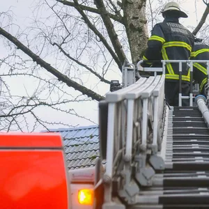 Feuerwehr mit Leiter auf Baum