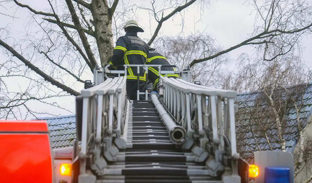 Feuerwehr mit Leiter auf Baum