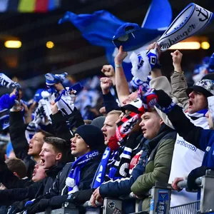 HSV Fans