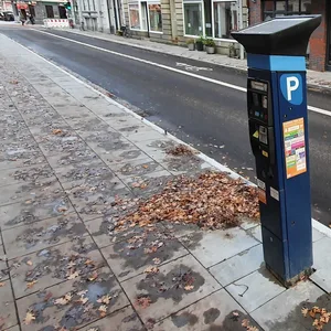 In der Lobuschstraße steht ein Parkautomat – allerdings ohne verfügbare Parkplätze.