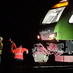 Regionalbahn erfasst Rinderherde