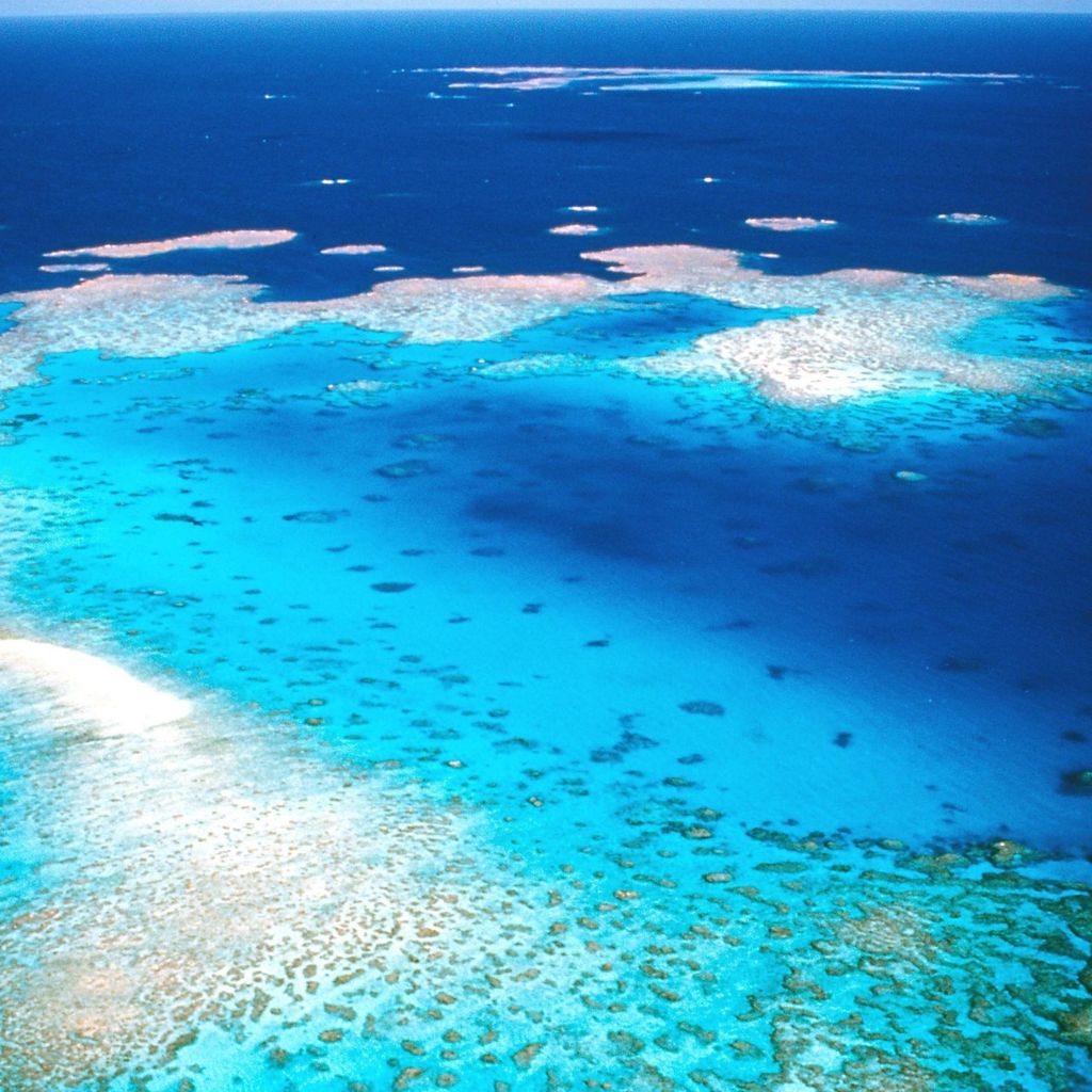 Luftaufnahme des Great Barrier Riffs vor der Küste Australiens