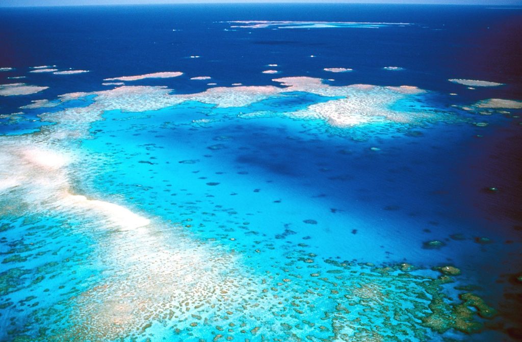 Luftaufnahme des Great Barrier Riffs vor der Küste Australiens