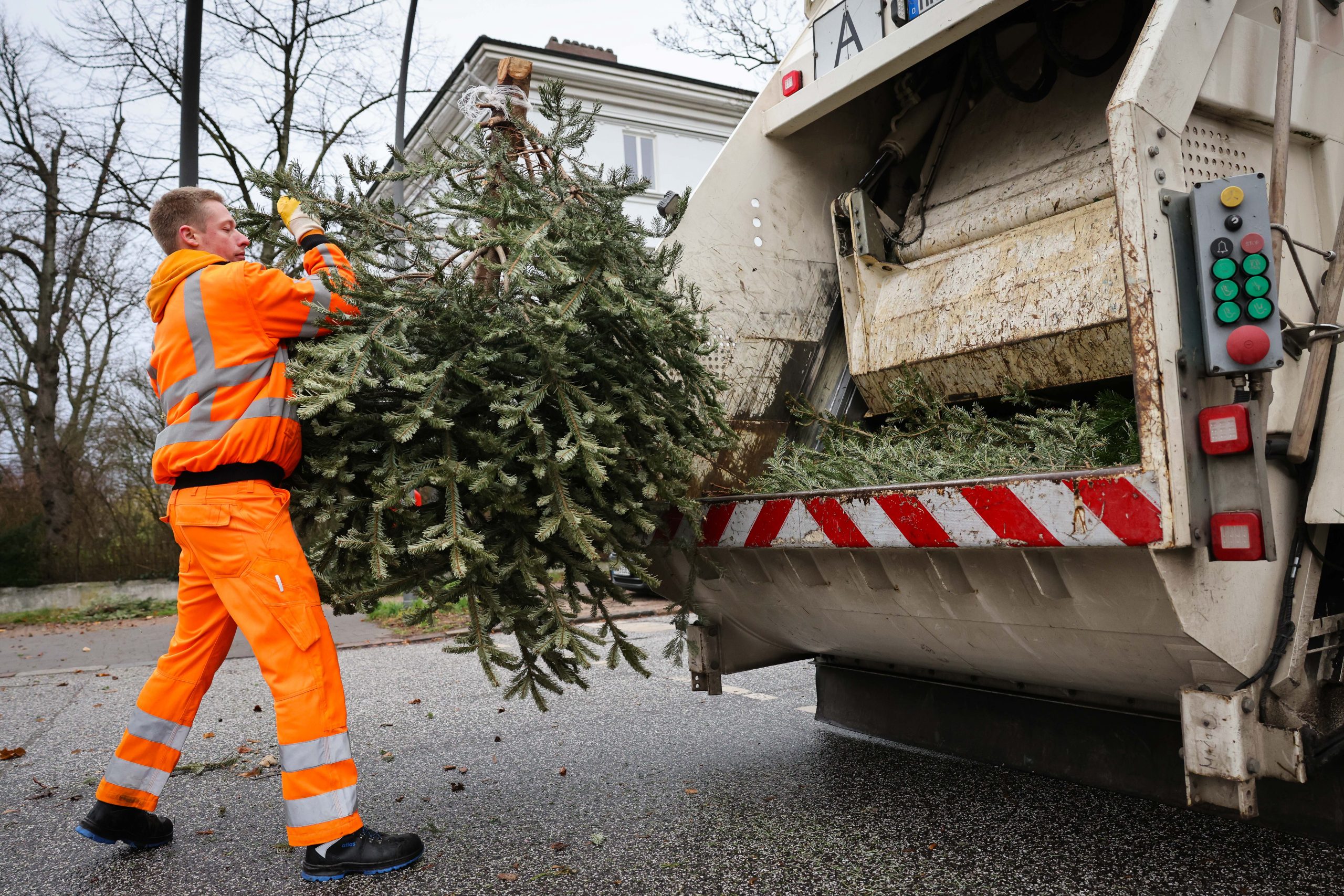 Die Stadtreinigung Hamburg sammelt auch dieses Jahr wieder Weihnachtsbäume ein.