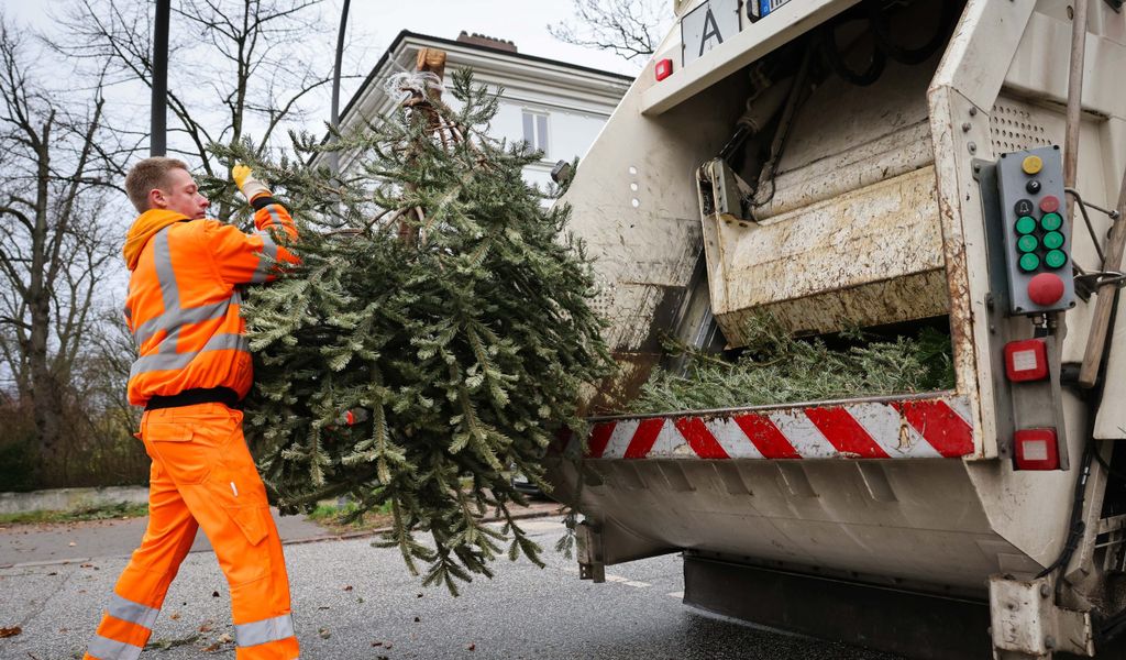 Die Stadtreinigung Hamburg sammelt auch dieses Jahr wieder Weihnachtsbäume ein.