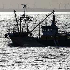 Fischkutter (Symbolbild)
