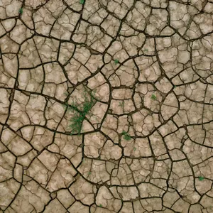 Experten gehen nach aktuellen Simulationsrechnungen davon aus, dass sich Trockenzonen der Subtropen aufgrund des Klimawandels künftig Richtung Norden ausbreiten werden.