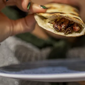 Insekten als Lebensmittel