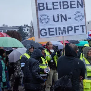 Demo von Corona-Impfgegnern in Hamburg Ende November. Einige laufen auch nur aus Solidarität mit. (Symbolbild)