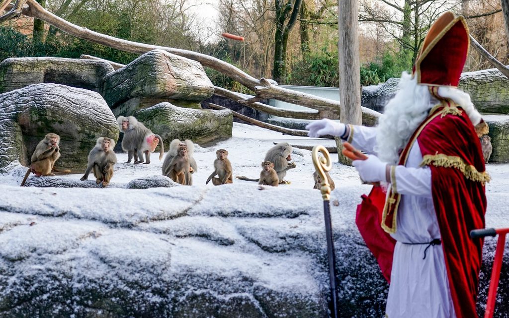 Nikolaus besucht den Tierpark Hagenbeck