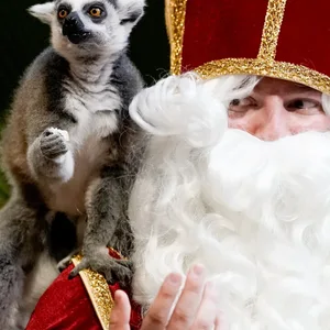 Nikolaus bei Hagenbeck