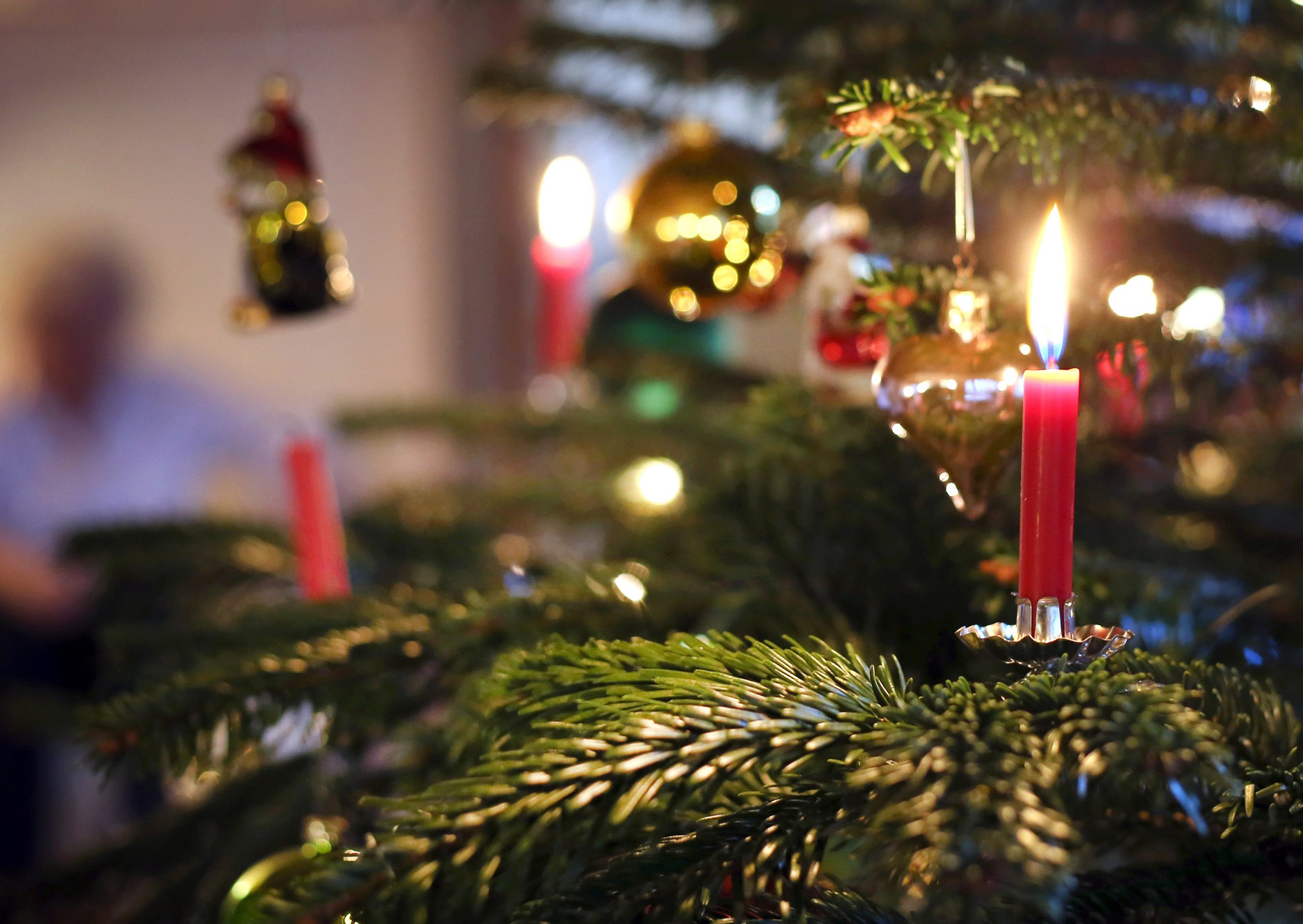 Kerzen brennen an einem festlich geschmückten Weihnachtsbaum.