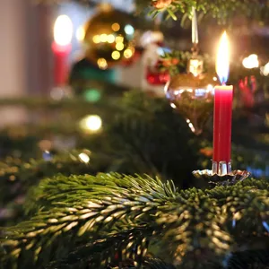 Kerzen brennen an einem festlich geschmückten Weihnachtsbaum.