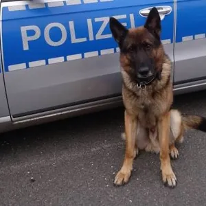 Polizei