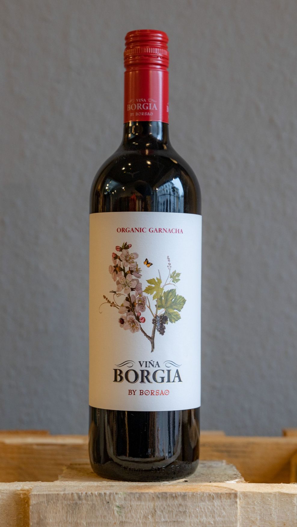 Der spanische Rotwein „Vina Borgia“ birgt großen Weingenuss für kleines Geld.