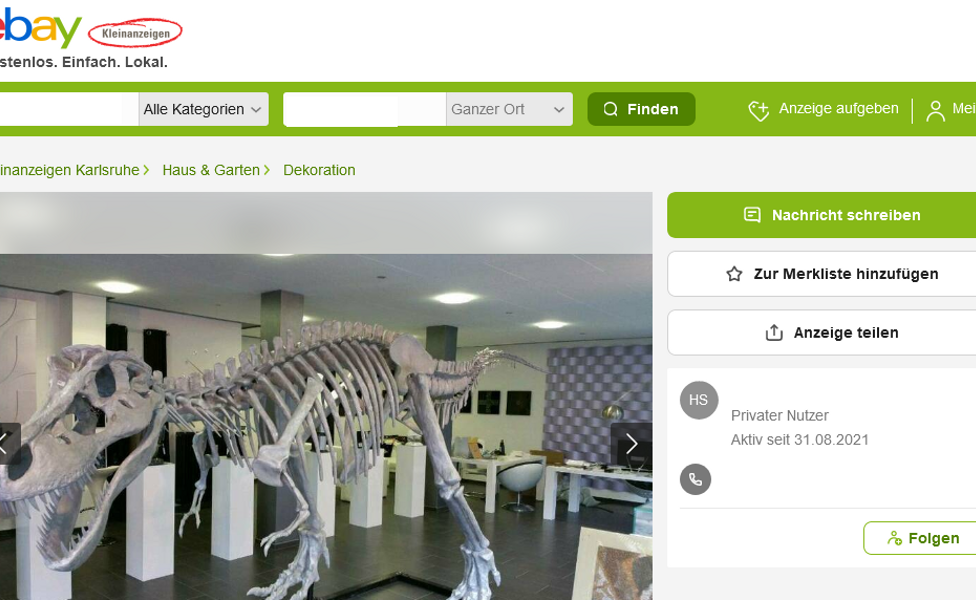 Ein T-Rex-Skelett auf ebay Kleinanzeigen im Angebot.