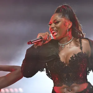 Megan Thee Stallion