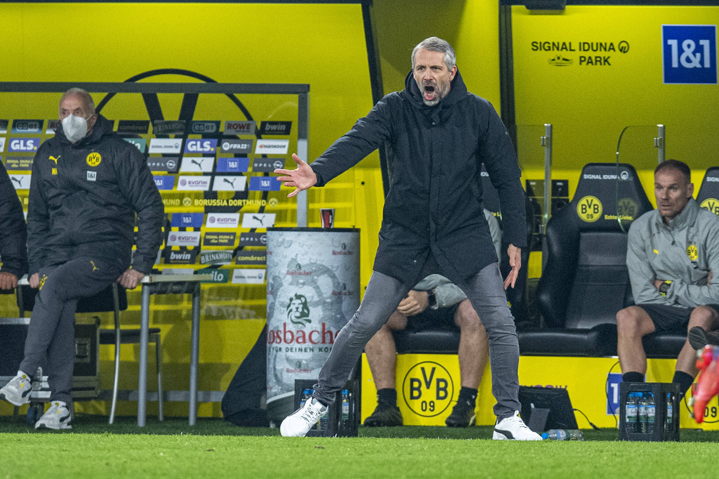 BVB-Trainer Marco Rose