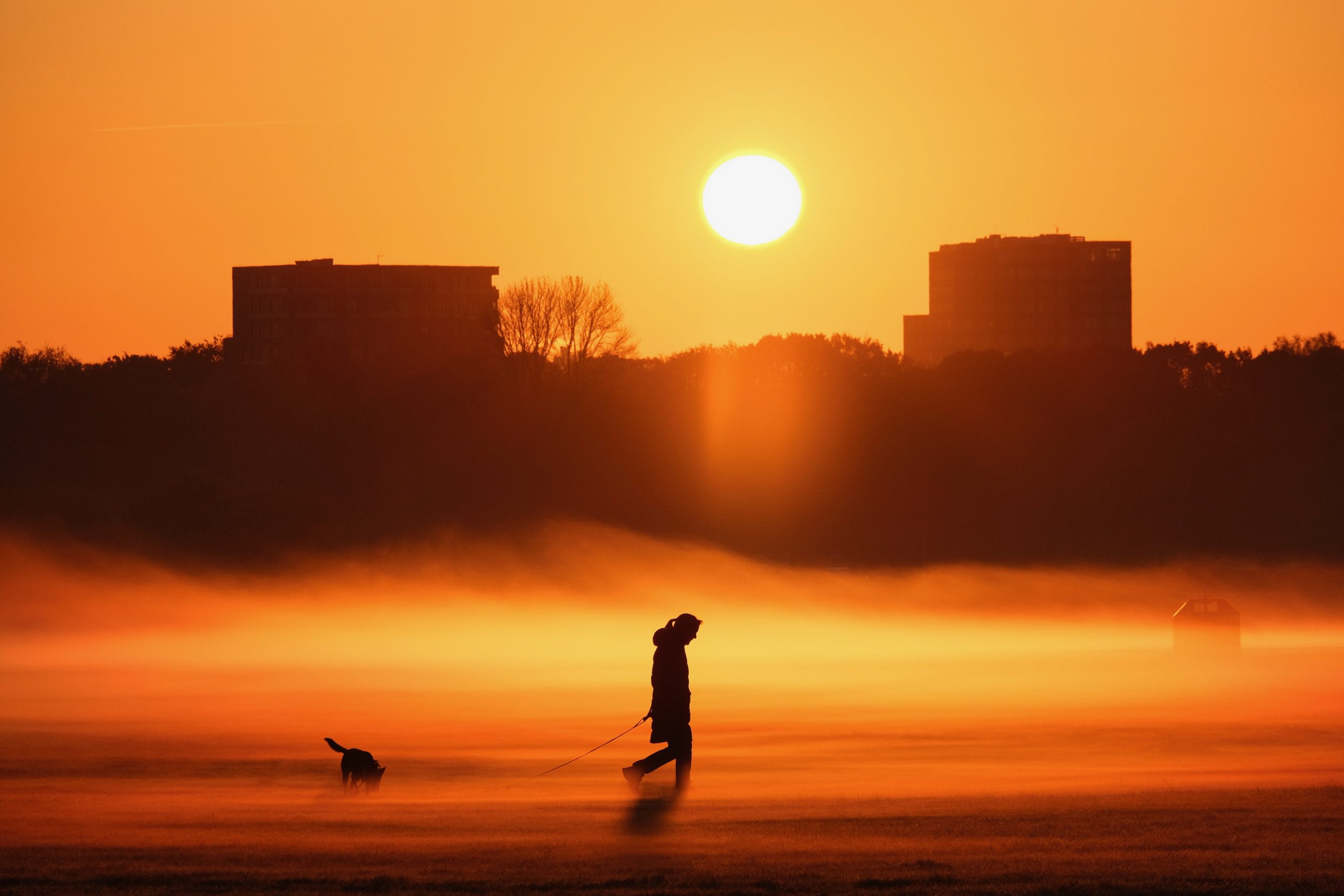 Glückwunsch zu Platz 1: Claudio Isecke hat dieses Foto geschossen. Hundebesitzer drehen auf den Stadtparkwiesen ihre frühmorgendliche Gassirunde. Die gerade aufgegangene Sonne taucht den noch über der Wiese liegenden Nebel in goldenes Licht. Wunderschön!