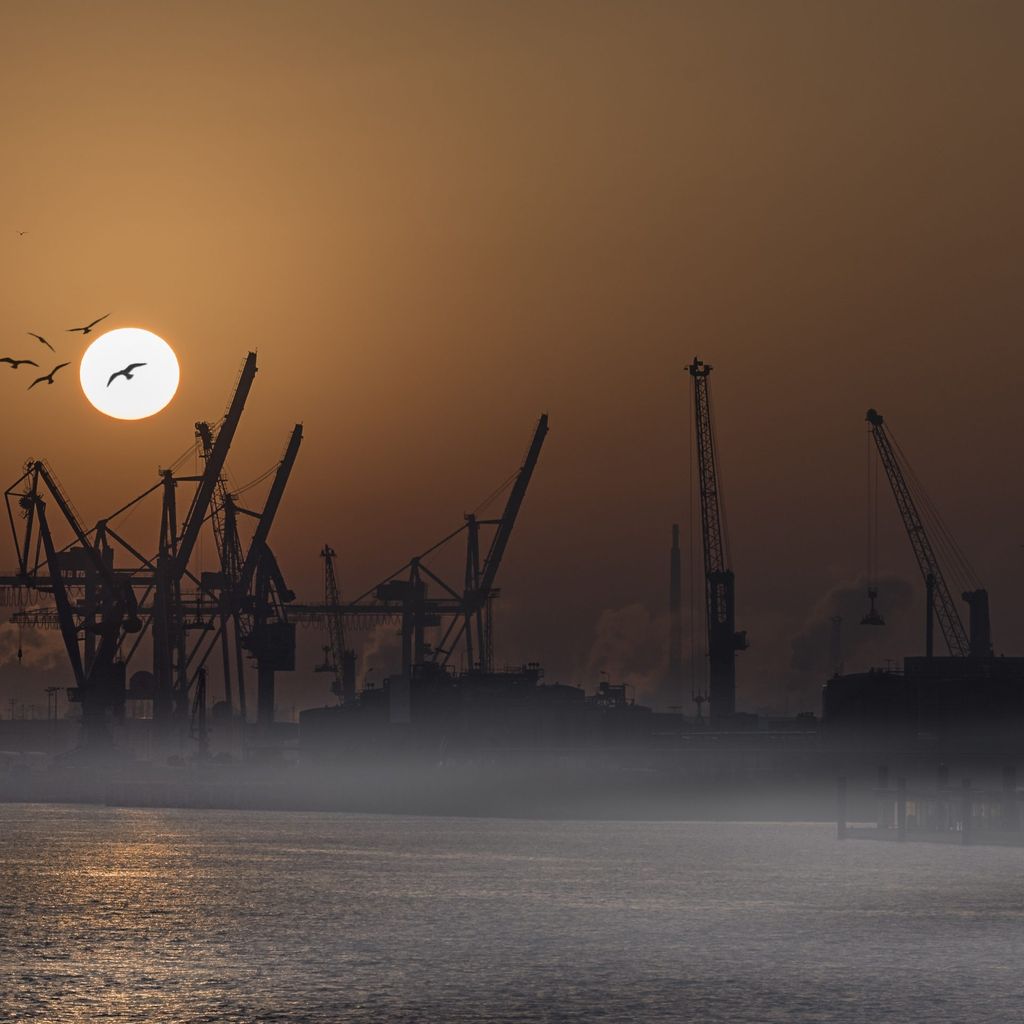 Und auch das zweitbeste Foto 2020  stammte von Heiko Penz aus Wedel: Hamburgs Hafenkräne im Sonnenaufgang. Dass gerade ein Vogelschwarm die Sonne passiert, nennen wir Glück des Tüchtigen.