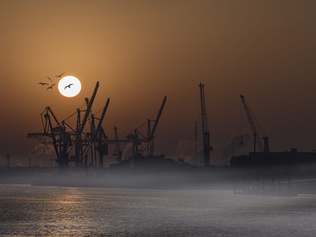 Und auch das zweitbeste Foto 2020  stammte von Heiko Penz aus Wedel: Hamburgs Hafenkräne im Sonnenaufgang. Dass gerade ein Vogelschwarm die Sonne passiert, nennen wir Glück des Tüchtigen.