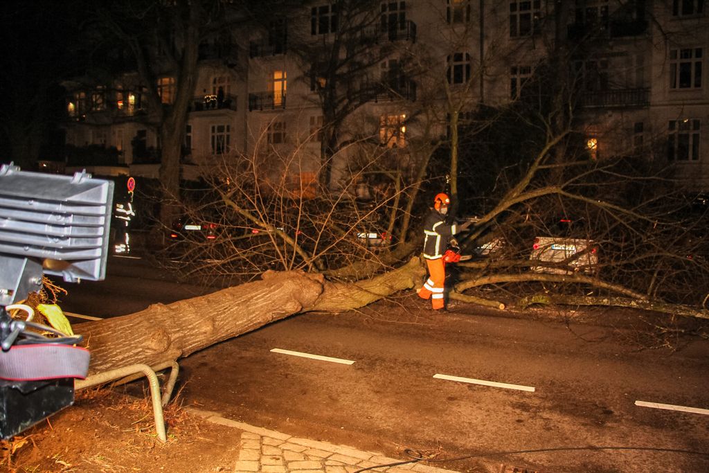 Ein entwurzelter Baum liegt quer auf einer Straße.