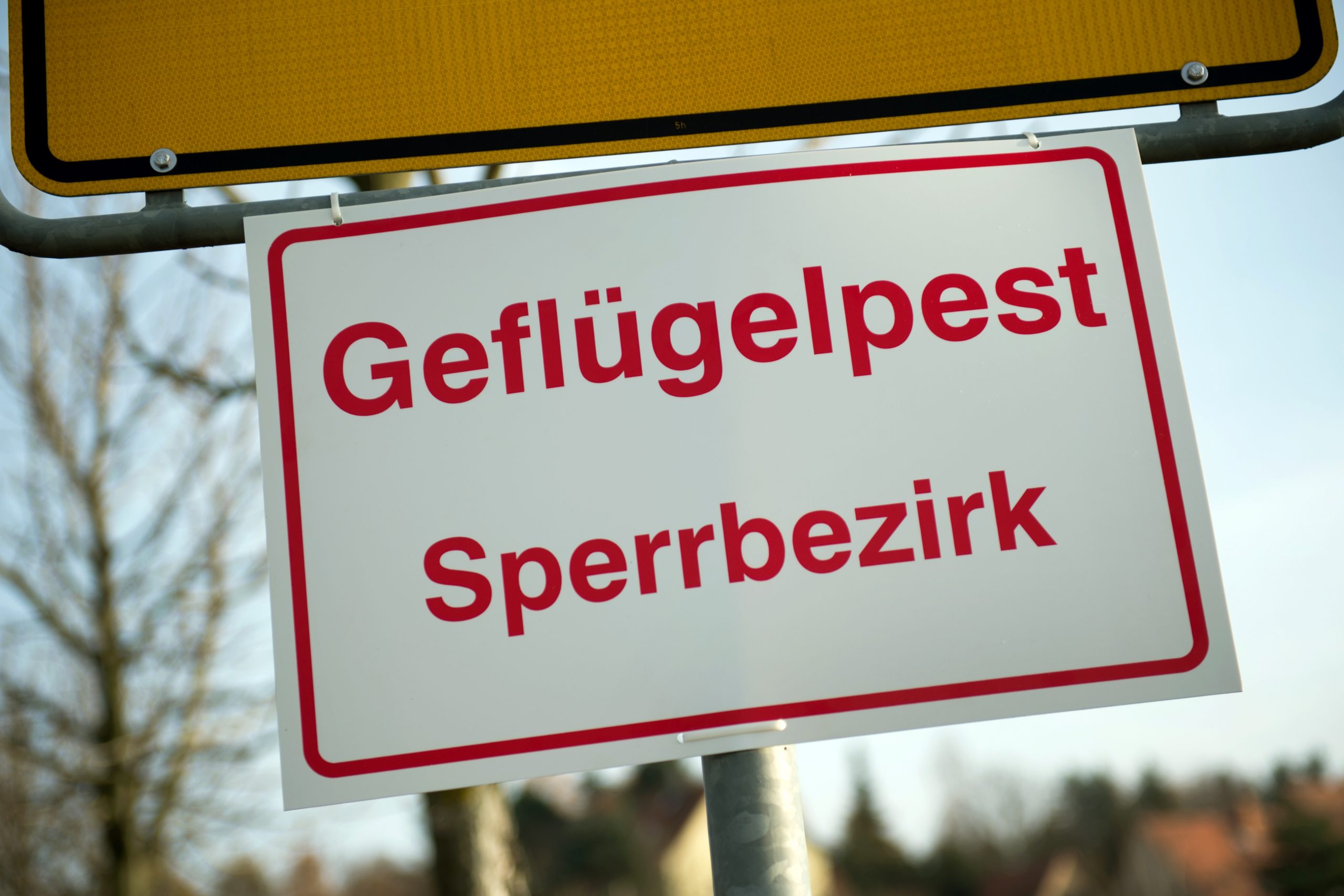 An einem Ortseingangsschild hängt ein Schild mit der Aufschrift „Geflügelpest Sperrbezirk“.