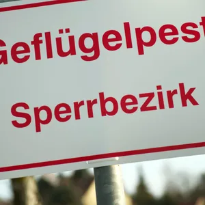 An einem Ortseingangsschild hängt ein Schild mit der Aufschrift „Geflügelpest Sperrbezirk“.
