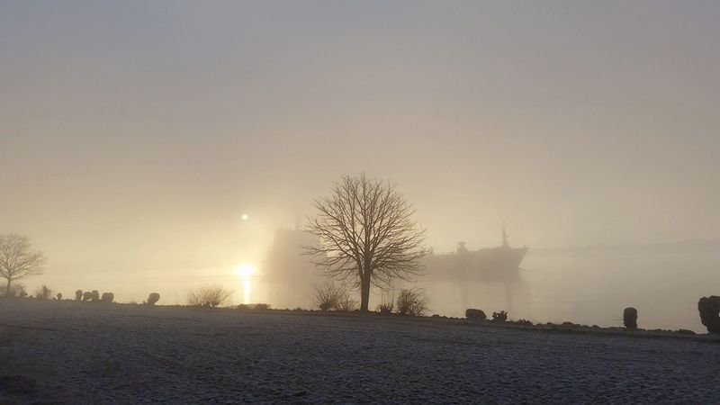 Herrliche Morgenstimmung am Elbstrand. Egon Koch aus Wedel hat dieses Foto aufgenommen. Glückwunsch!
