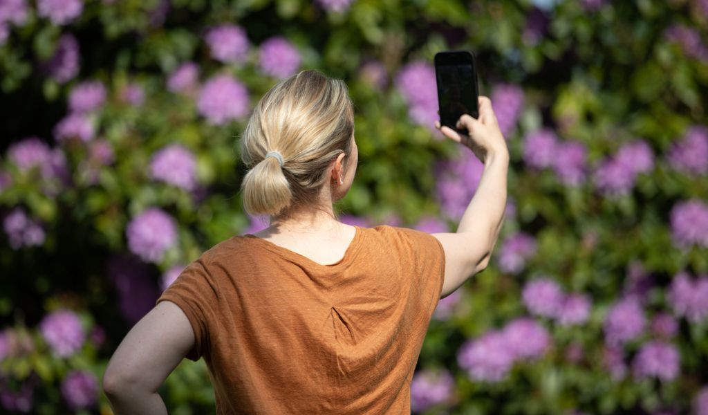 Eine Frau hält ein Smartphone in der Hand und macht ein Selfie.