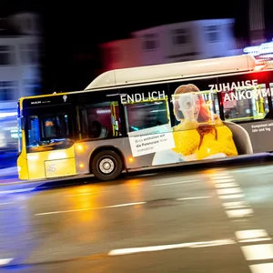 Linienbus
