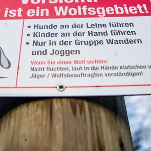 „Vorsicht! Hier ist ein Wolfsgebiet!“ und Verhaltensregeln stehen auf einem Schild, das von unbekannten am Waldrand aufgehängt wurde.