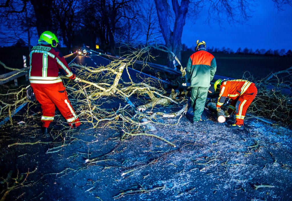 Einsatzkräfte der Feuerwehr räumen einen umgestürzten Baum auf der Bundesstraße B 208 weg.