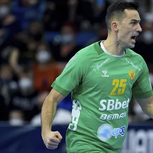 Montenegros Marko Lasica hat bei der Handball-EM einen Fan bespuckt.