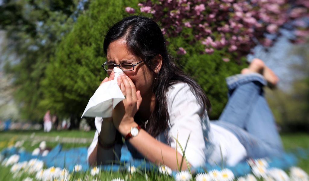 Der Pollenflug geht immer früher los – und macht Allergikern zu schaffen.