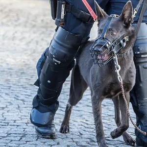 Polizeihund im Einsatz