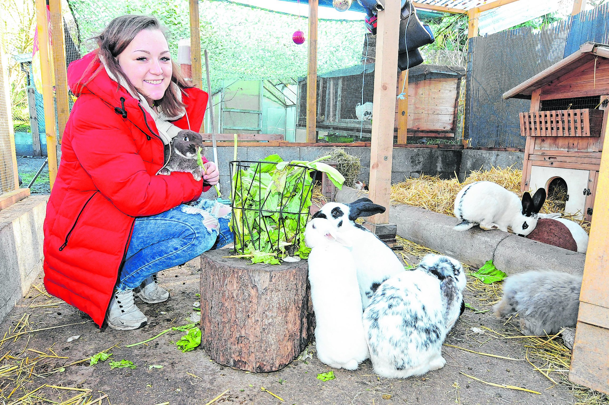 Bianca Urbschat mit ihren geretteten Kaninchen