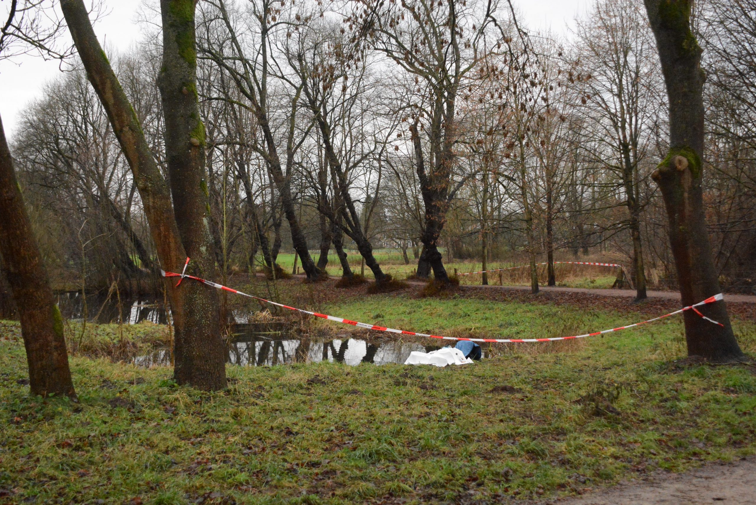 Aus diesem Teich bei Hamburg wurde die Leiche geborgen.