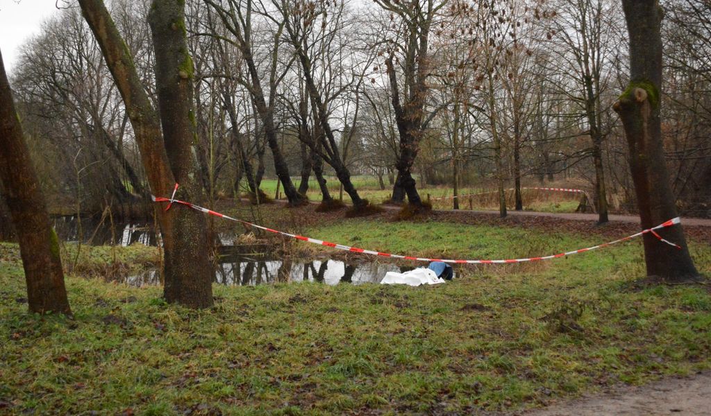 Aus diesem Teich bei Hamburg wurde die Leiche geborgen.