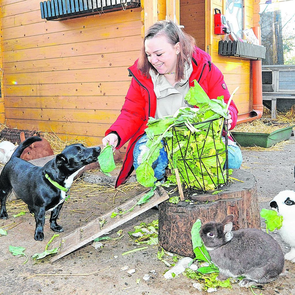 Bianca Urbschat mit den Kaninchen und Hund Balu.