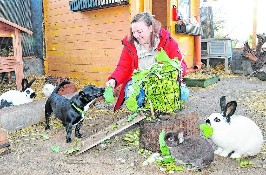 Bianca Urbschat mit den Kaninchen und Hund Balu.