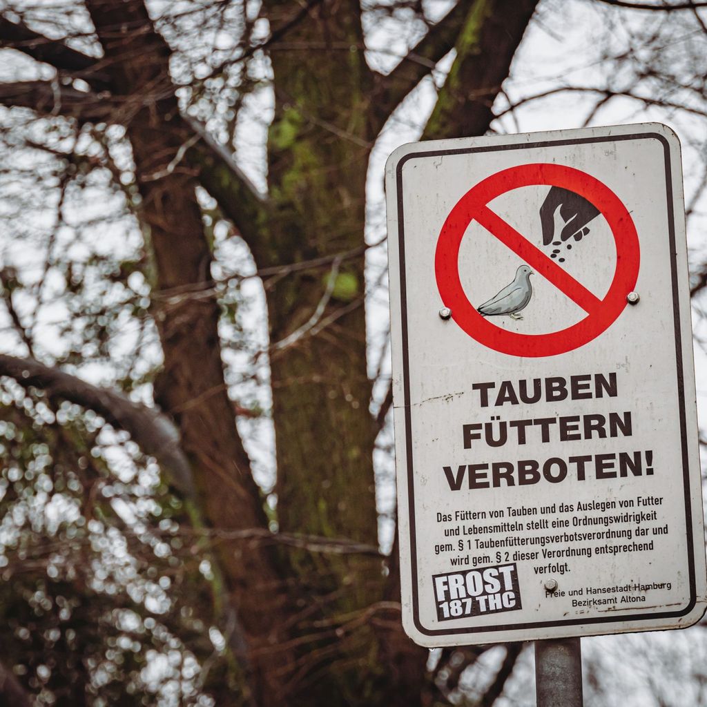 Einige Schilder weisen bereits auf das Fütterungsverbot hin – nach dem Willen der SPD sollen weitere folgen.