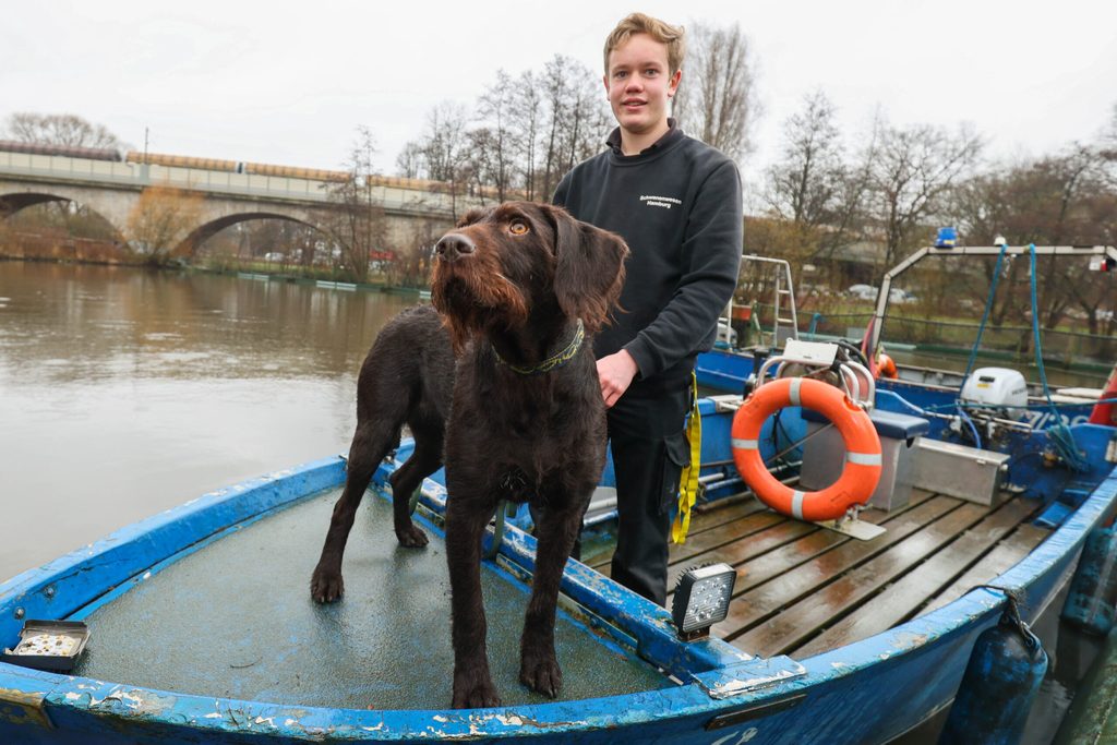 FÖJ beim Schwanenwesen