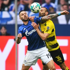 Burgstaller, Toprak, Schalke, BVB