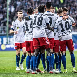 Die HSV-Profis bejubeln einen Torerfolg