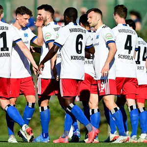 Die Profis des HSV beim 3:1 im Test gegen Karlsruhe