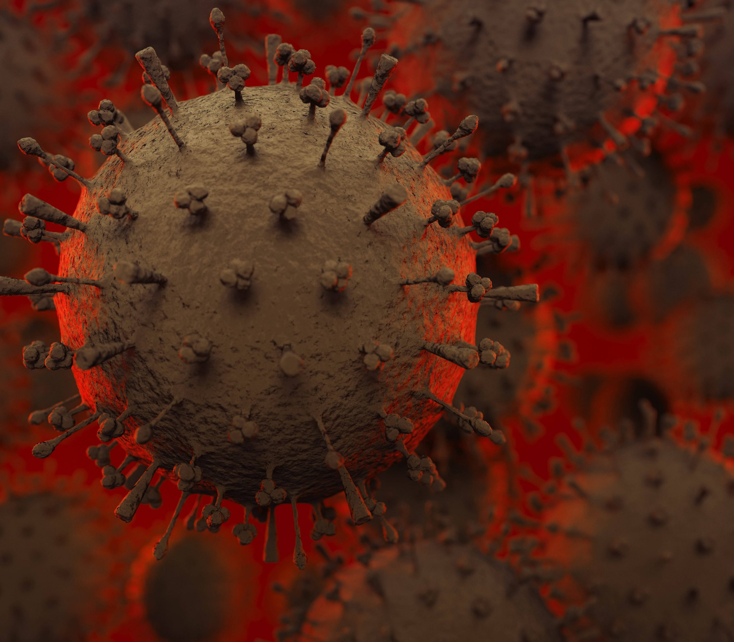 Das H5N1-Virus unter dem Mikroskop